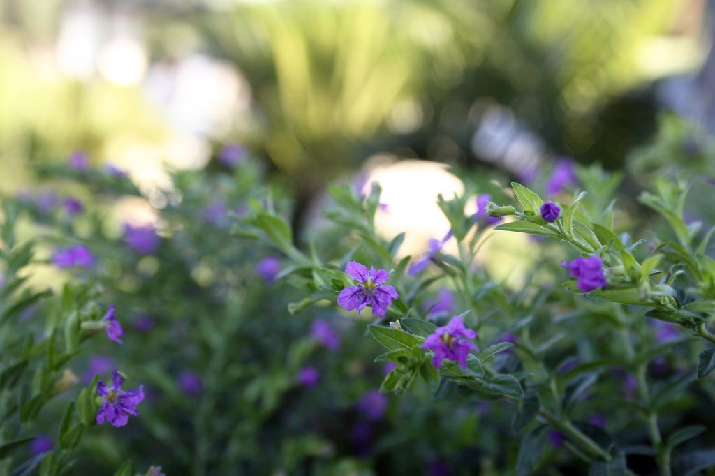 Arnesano Pozzillo San Rocco Bed & Breakfast エクステリア 写真